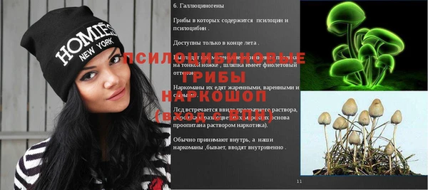 PSILOCYBIN Надым
