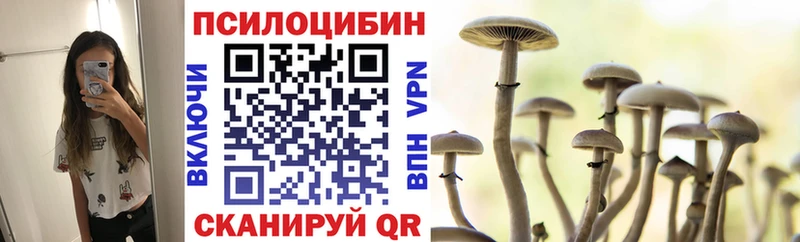 Купить где  Нерехта  Псилоцибиновые грибы прущие грибы 